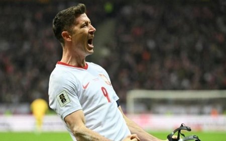 الهلال يقدم عرضاً بقيمة 90 مليون يورو للتعاقد مع ليفاندوفسكي