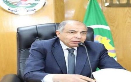 محافظ مطروح يبرز مواهب طلاب المدرسة اليابانية ويشيد بإبداعاتهم