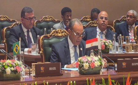 وزير الخارجية يشارك في اجتماع وزراء خارجية دول البريكس بجلسة موسعة