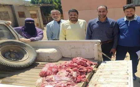 مصادرة 2 طن من اللحوم والدواجن والأسماك غير الصالحة للاستهلاك في المنوفية
