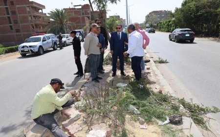 محافظ المنوفية يكشف عن آخر مستجدات تطوير الجزيرة الوسطى في طريق شبين الكوم – قويسنا