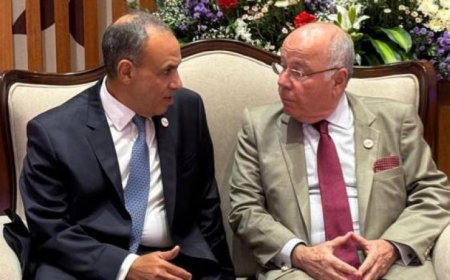 وزير الخارجية يبرز أهمية إنشاء مركز برازيلي في المنطقة الاقتصادية لقناة السويس