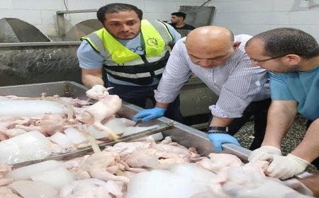 ضبط 3 أطنان من الدواجن الفاسدة في القليوبية تكشف عن أزمة غذائية جديدة