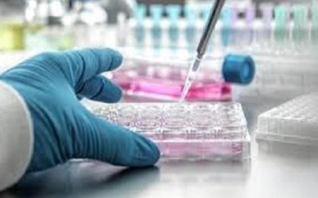 اكتشاف مركب نباتي جديد يعيق نمو السرطان ويعزز الأمل في العلاج
