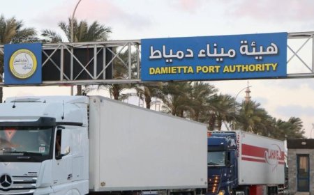 حركة الترانزيت تصل إلى مستويات قياسية عبر خط الرورو في ميناء دمياط