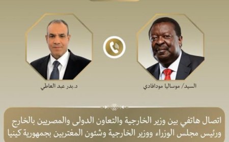 وزير الخارجية يناقش تعزيز العلاقات الثنائية مع كينيا وقضايا القارة الأفريقية