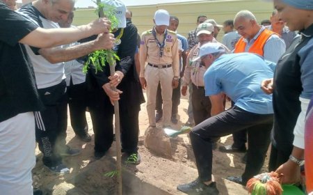 مدير أسوان يطلق حملة تشجير طريق السادات ضمن مبادرة أسوان بشبابها أجمل
