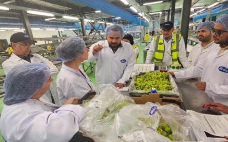 الزراعة تطمح لزيادة صادرات العنب المصري إلى أسواق الأرجنتين بعد نجاح الموالح