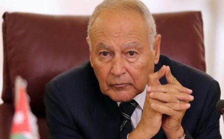 أبو الغيط يشيد باتفاق تبادل الأسرى والمحتجزين في اليمن ويعبر عن أمله في تحقيق السلام