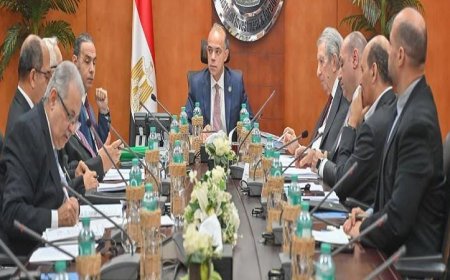 وزير الاستثمار يكشف عن جهود استكمال معايير المحاسبة لتعزيز تنافسية الاقتصاد المصري