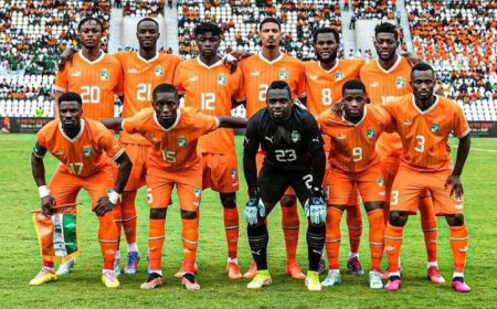كوت ديفوار تكشف عن تشكيلة لاعبيها في كأس العالم 2022