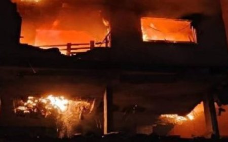 نقيب الأطباء الإيطالي يؤكد عدم وجود إصابات بفيروس هانتا والتأكد من سلبية الفحوصات للمشتبه بهم