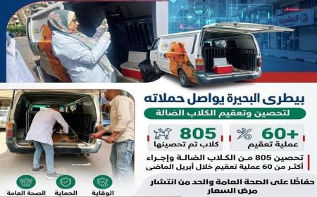 بيطري البحيرة يعزز جهوده لتحصين وتعقيم الكلاب الضالة لحماية المجتمع
