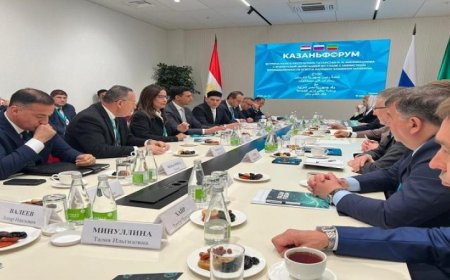 وزيرة الثقافة المصرية تبرز دور التعاون الثقافي مع الدول الإسلامية في تعزيز الهوية الثقافية