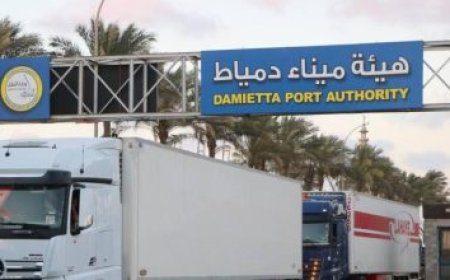 زيادة الاحتياطيات العامة بالموازنة الجديدة إلى 262.8 مليار جنيه حسب وزارة المالية