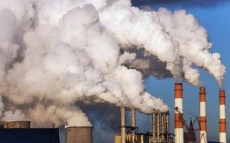 اكتشاف علماء لنوع جديد من ملوثات الهواء يحدث ثورة في مجال البيئة