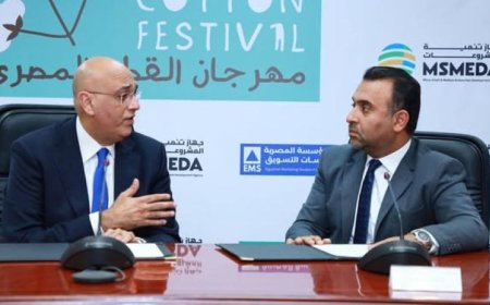 تنمية المشروعات تكشف عن إطلاق مهرجان القطن المصري الجديد