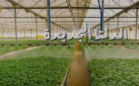 الرئيس السيسي يستعرض الفيلم الوثائقي الدلتا الجديدة أثناء موسم حصاد القمح