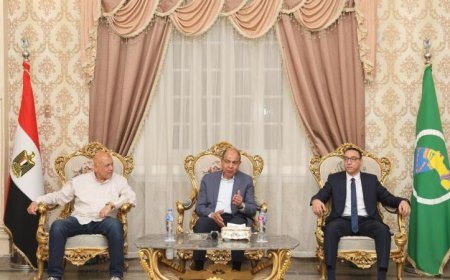 محافظ المنيا يلتقي نائب وزيرة الإسكان لمناقشة تطوير مشروعات مياه الشرب