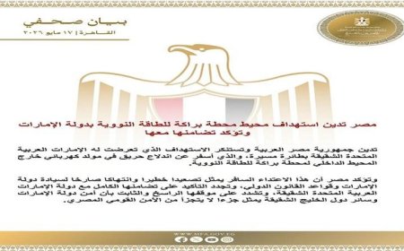مصر تندد بالهجوم على محطة براكة للطاقة النووية في الإمارات