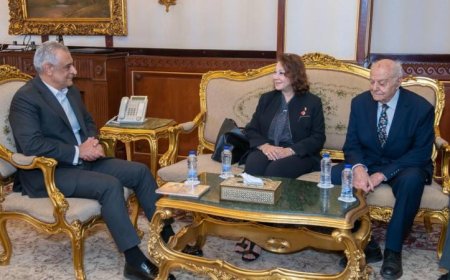 وزير الإنتاج الحربي يتعاون مع خبير دولي لتعزيز الاستفادة من الطاقة الشمسية