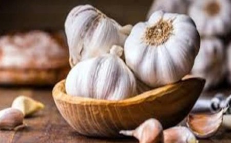 الثوم المعتق سلاح فعال للتغلب على ضعف العضلات نهائياً