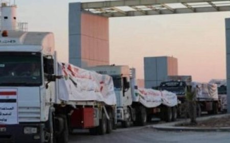 الرئيس السيسي يطالب بإسراع تنفيذ مشاريع الطاقة الجديدة والمتجددة لتعزيز الاستدامة الاقتصادية