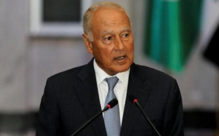 أبوالغيط يشيد بمواقف الصين الداعمة للقضية الفلسطينية في المحافل الدولية