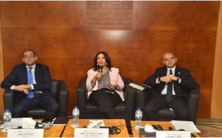“المالية تكشف عن موافقات إقامة المناطق الخاصة المخصصة للتصدير بنسبة 100%”