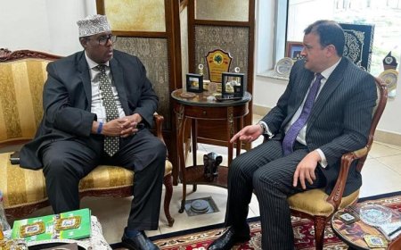 مساعد وزير الخارجية للشئون الأفريقية يستقبل السفير الصومالي لتعزيز العلاقات الثنائية