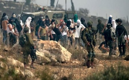 مستوطنون إسرائيليون يثيرون الفوضى بحرق أراض فلسطينية في الضفة الغربية