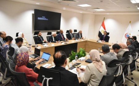 نائب وزير الصحة يعقد اجتماعًا مع مجموعتي صحة وابرايم لتعزيز الاستثمار في القطاع الطبي