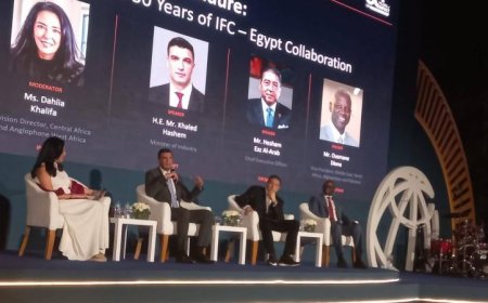 وزير الصناعة يعلن عن خطة لدمج الصناعة المصرية في سلاسل القيمة العالمية والإمداد