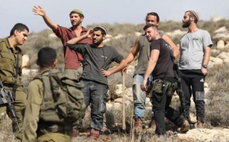 تقرير أممي يكشف عن استمرار انتهاكات حقوق الإنسان في غزة وازدياد الاستيطان في الضفة الغربية بشكل غير مسبوق