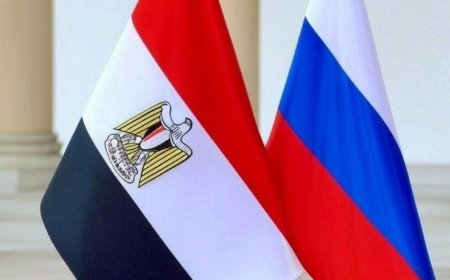 دبلوماسي روسي يؤكد تميز العلاقات الروسية المصرية