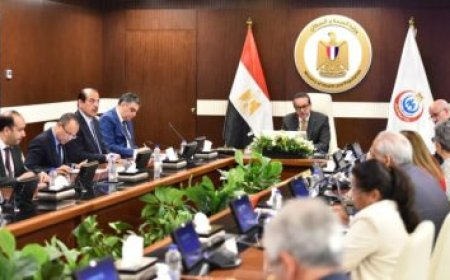 رئيس جامعة القاهرة يجري محادثات استراتيجية مع سفير سلوفينيا ورئيس جامعة إيموني لتعزيز التعاون الأكاديمي