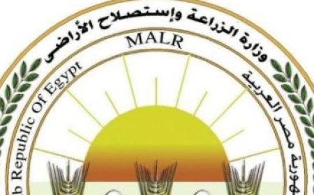 أسعار الذهب تنخفض بفعل ضغوط الفائدة وزيادة التوترات في الشرق الأوسط