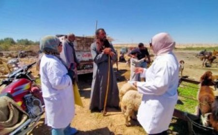 اقتصادية قناة السويس تعلن عن توقيع بروتوكول تعاون مع المنطقة الاقتصادية الخاصة بجرجوب لتعزيز الشراكات التجارية