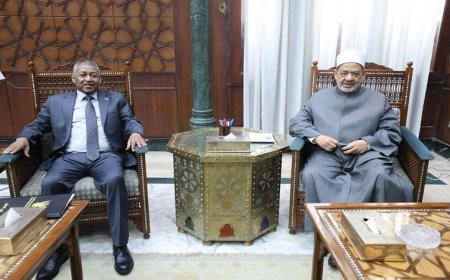 شيخ الأزهر والسفير السوداني يتباحثان سبل تعزيز الدعم الأزهري لأبناء السودان