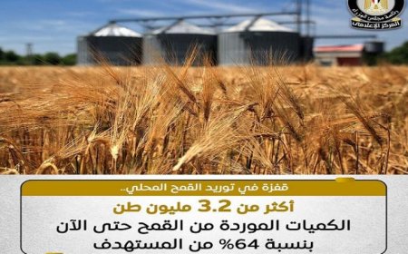 اجتياز مزارعينا لمعدلات غير مسبوقة في توريد محصول القمح لهذا الموسم