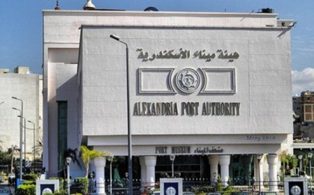 الإسكندرية تعلن عن استراتيجيات جديدة لتطوير البنية التحتية وتعزيز الكوادر البشرية في الميناء