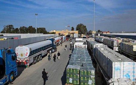 انطلاق الدفعة الـ200 من شاحنات مساعدات زاد العزة المصرية نحو قطاع غزة