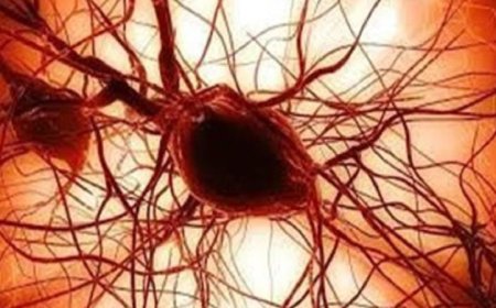 ابتكار خلايا جذعية بشرية من خلال مواد كيميائية ثورية