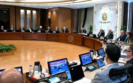 الوزراء يعتمون مشاريع تعديلات جديدة على قانون شركات قطاع الأعمال العام