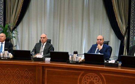 الحكومة تتبنى خطة استثنائية لمساعدة شركات الطيران بحزمة إجراءات تحفيزية