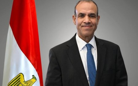 عبد العاطي يشجع الشركات البريطانية على استغلال الفرص الاستثمارية الواعدة في مصر