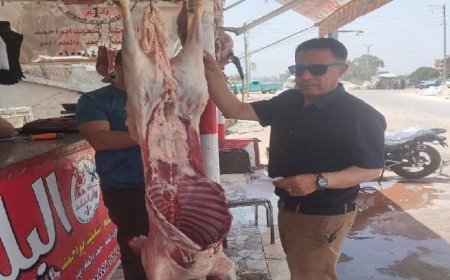 ضبط نصف طن من الدقيق البلدي المدعم في الإسماعيلية من قبل وزارة التموين