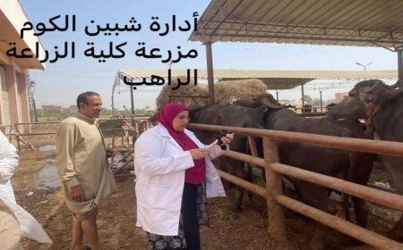 محافظ المنوفية يعلن عن تحصين 313 ألف رأس ماشية لمواجهة مرض الحمى القلاعية