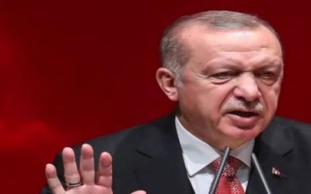 أردوغان وترامب يتواصلان هاتفيًا لبحث تعزيز العلاقات الثنائية وآخر المستجدات الإقليمية