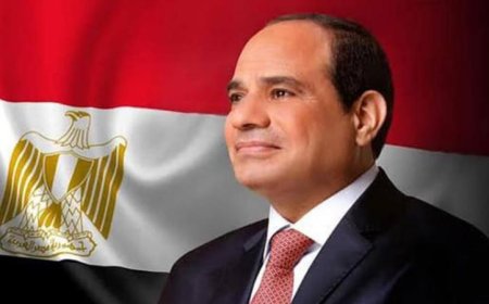 الرئيس السيسى يعبر عن التزام مصر بتعزيز العلاقات مع الجزائر